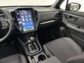 Subaru Forester 2.0i Hybrid Active CVT Beige - thumbnail 14