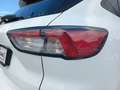 Ford Kuga 120PS Diesel 2,0 EcoBlue AWD ST-Line Aut.(SOFOR... Weiß - thumbnail 9