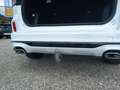 Ford Kuga 120PS Diesel 2,0 EcoBlue AWD ST-Line Aut.(SOFOR... Weiß - thumbnail 11