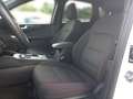 Ford Kuga 120PS Diesel 2,0 EcoBlue AWD ST-Line Aut.(SOFOR... Weiß - thumbnail 12