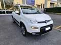 Fiat Panda 4x4 1.3 mjt 16v 4x4 Blanc - thumbnail 7