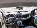 Fiat Panda 4x4 1.3 mjt 16v 4x4 Blanc - thumbnail 10