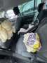 Volkswagen Touran 1.6 FSI Highline - thumbnail 8
