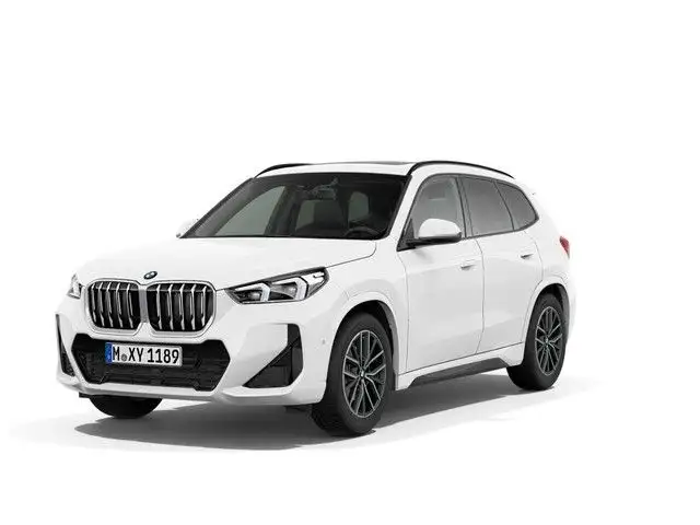 Bmw X1 sDrive20i M Sportpaket Pano AHK Harman&Kardon