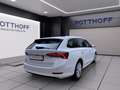 Skoda Octavia Combi 2.0 TDI DSG STYLE NAVI PDC SITZHZG Weiß - thumbnail 5