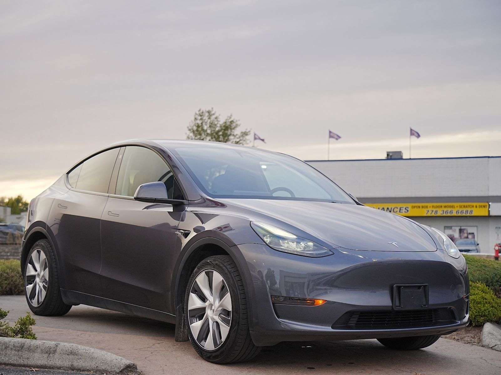 2023 Tesla Model Y