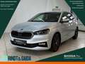 Skoda Fabia 1.0 TSI Style DSG AHK SHZ Smartlink PDC ZV Keyless Silber - thumbnail 1