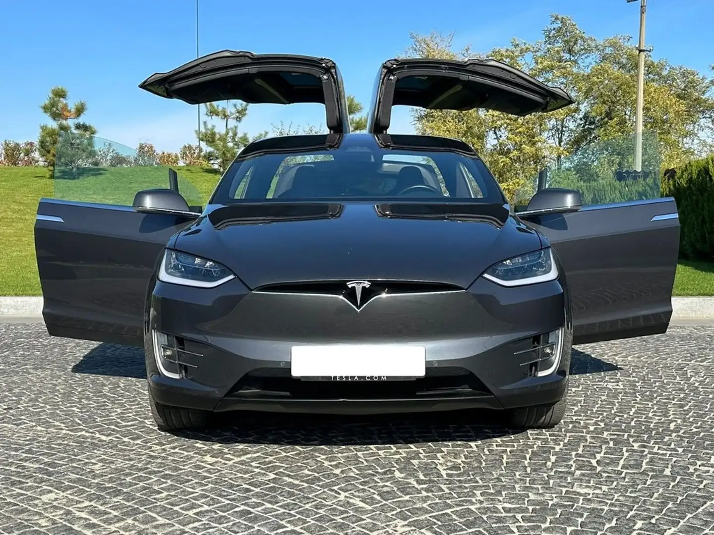 Tesla Model X 100D 4WD Gris - 2