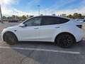 Tesla Model Y Model Y 2023 Performance Dual Motor awd White - thumbnail 7