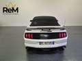 Ford Mustang Mustang Convertible 2.3 ecoboost 314cv auto Bianco - thumbnail 5