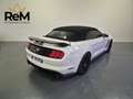 Ford Mustang Mustang Convertible 2.3 ecoboost 314cv auto Bianco - thumbnail 6