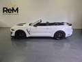 Ford Mustang Mustang Convertible 2.3 ecoboost 314cv auto Bianco - thumbnail 2