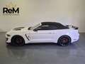 Ford Mustang Mustang Convertible 2.3 ecoboost 314cv auto Bianco - thumbnail 3