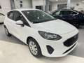 Ford Fiesta 1.1 75 CV 5 porte Connect Wit - thumbnail 4