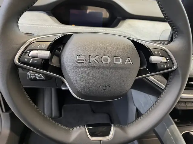 Skoda Enyaq view 22