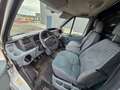 Ford Transit Weiß - thumbnail 9