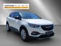 Opel Grandland X 1,2 Turbo Direct Inj. Design Line Start/Stop Weiß - thumbnail 6