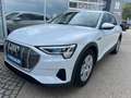 Audi e-tron 55 quattro Weiß - thumbnail 1