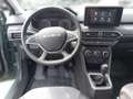 Dacia Sandero SANDERO Stepway Extreme TCe 90 Grün - thumbnail 11