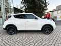 Nissan Juke 1,2 DIG-T N-Vision Weiß - thumbnail 8