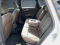 Audi Q4 e-tron S line 40 AHK/Matrix/Sonos/Nav/W-Pumpe Weiß - thumbnail 13