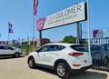 Hyundai TUCSON 1.7CRDI BD Essence 4x2 Wit - thumbnail 6