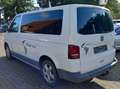 Volkswagen T5 Multivan Multivan PanAmericana 4Motion Weiß - thumbnail 2