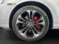Audi Q7 50 TDI quattro S line Black B&O AHK PANO 7-Sitzer Silber - thumbnail 16