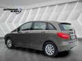 Mercedes-Benz B 200 CDI 1.Hand Bi-Xenon Kamera Sitzh. PDC Gris - thumbnail 9