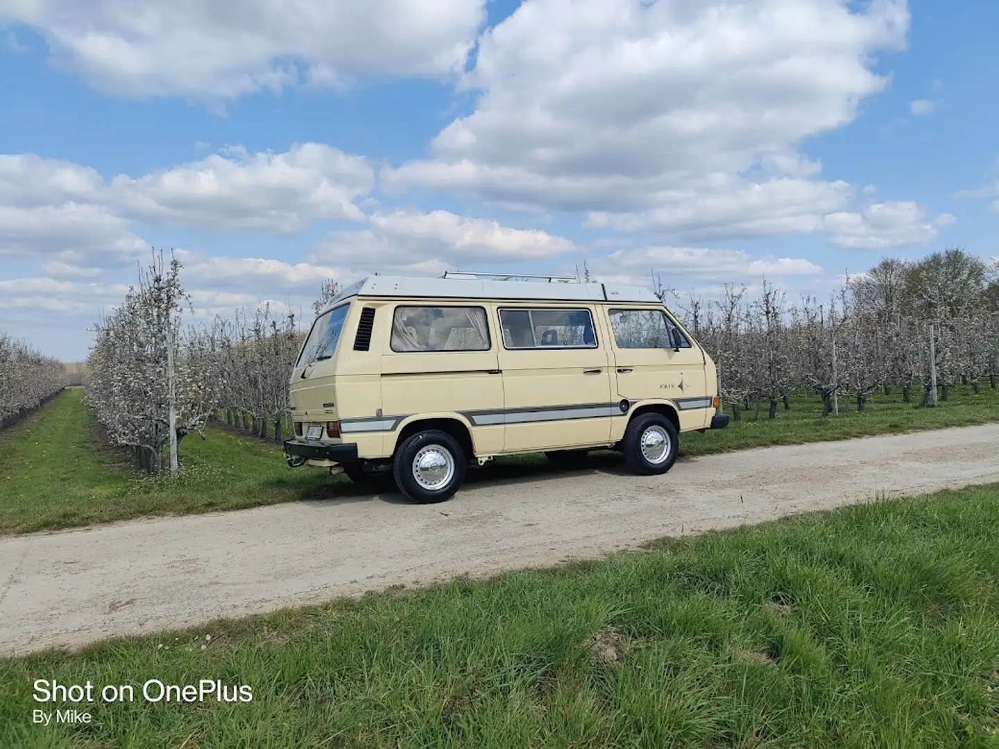 Volkswagen Bus T3 westfalia Amarillo - 2