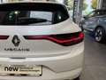 Renault Megane ZEN TCe 115 Blanc - thumbnail 48