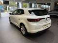 Renault Megane ZEN TCe 115 Blanc - thumbnail 10