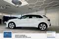 Audi A3 Sportback S-Line* 1 Hand* 40 TFSI e S line Weiß - thumbnail 6