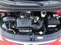 Hyundai i10 i10 1.1 Active GPL  *OK NEOPATENTATI* Rosso - thumbnail 12