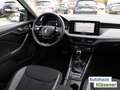 Skoda Kamiq 1.0 TSI 85 KW DSG MATRIX ACC RKAM NAV VC LM Grau - thumbnail 9