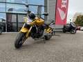 Honda Hornet - thumbnail 1