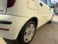 Fiat Punto 5p 1.3 MJT Active VAN Autocarro 4 posti Bianco - thumbnail 6