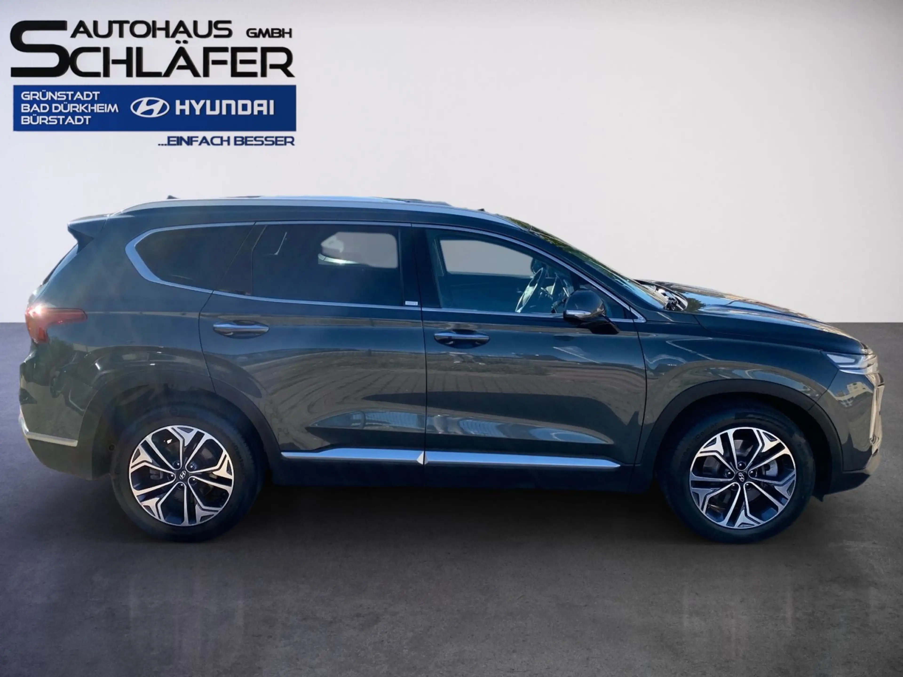 Hyundai SANTA FE 2.2 CRDi DPF Premium 4WD Panorama Schie — photo 3