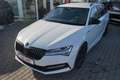 Skoda Superb Combi 2.0 TSI DSG Sportline 4x4 Matrix Blanc - thumbnail 12