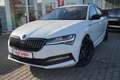 Skoda Superb Combi 2.0 TSI DSG Sportline 4x4 Matrix Blanc - thumbnail 2