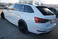 Skoda Superb Combi 2.0 TSI DSG Sportline 4x4 Matrix Blanc - thumbnail 15