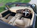 TVR Chimaera Schwarz - thumbnail 7