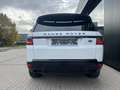 Land Rover Range Rover Sport Range Rover Sport Dynamic Panodak/Carplay/Camera Wit - thumbnail 6