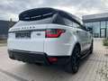 Land Rover Range Rover Sport Range Rover Sport Dynamic Panodak/Carplay/Camera Wit - thumbnail 7