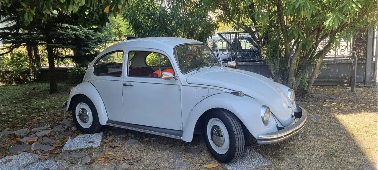 Volkswagen Beetle, foto 1