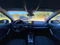 Audi Q2 Q2 30 TDI S tronic Business Blu/Azzurro - thumbnail 10