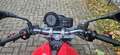 Ducati Monster 600 Rojo - thumbnail 11