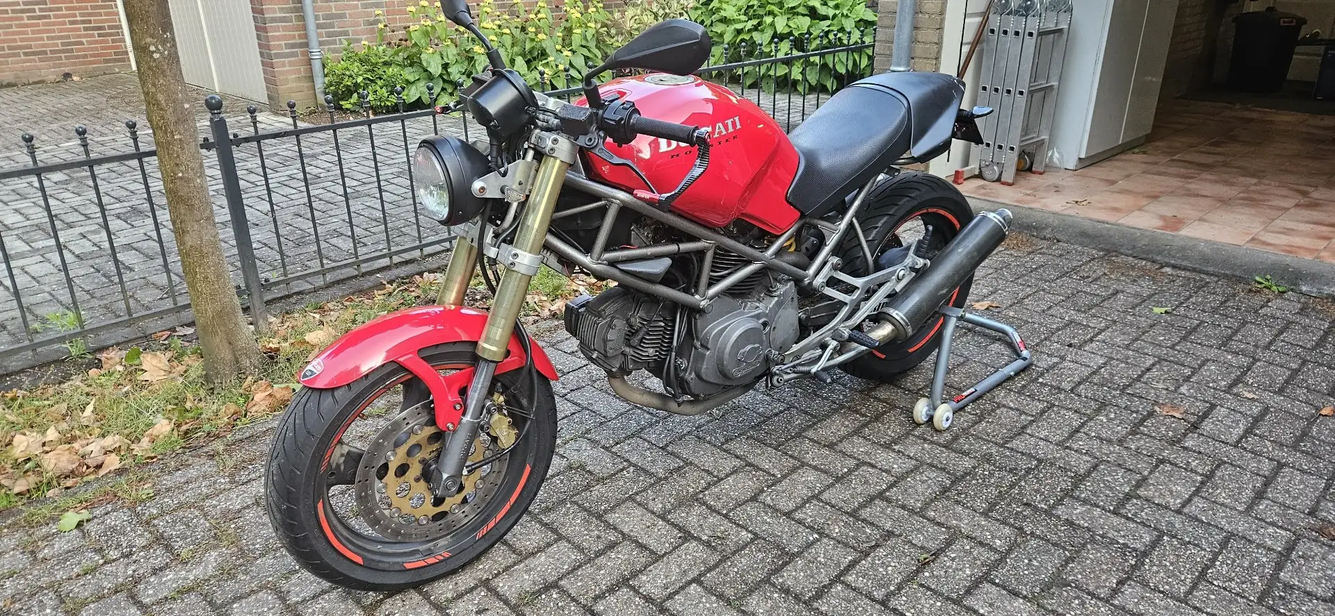Ducati Monster 600 Rojo - 1