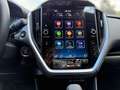 Subaru Crosstrek 2.0ie Platinum 4x4, Leder, SHD, SHZ Alb - thumbnail 10