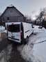 Renault Trafic Trafic L2H1 Weiß - thumbnail 4